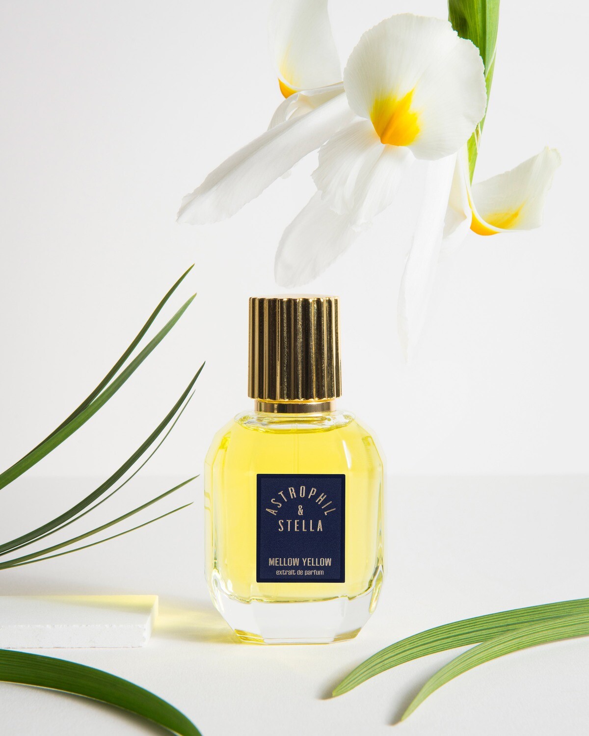MELLOW YELLOW - Astrophil &amp; Stella - Extrait 50ml