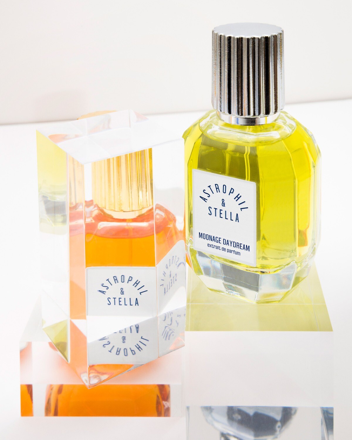 MOONAGE DAYDREAM - Astrophil &amp; Stella - Extrait 50ml