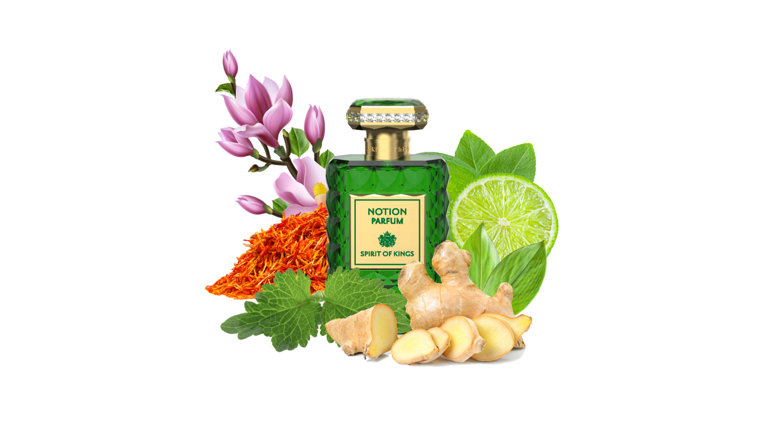 NOTION - Wisdom Collection Collection Spirit Of Kings - 100ml EdP / 1ml