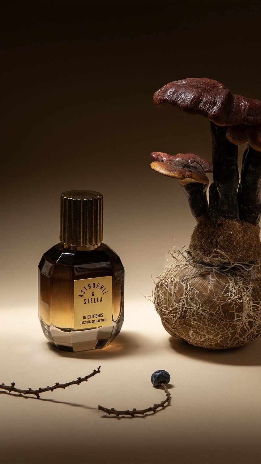 IN EXTREMIS - Astrophil &amp; Stella - Extrait 50ml
