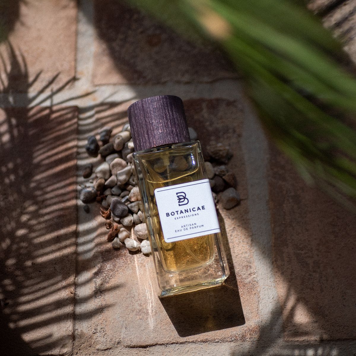 SHOMAL - Botanicae - 100ml EdP / 2ml