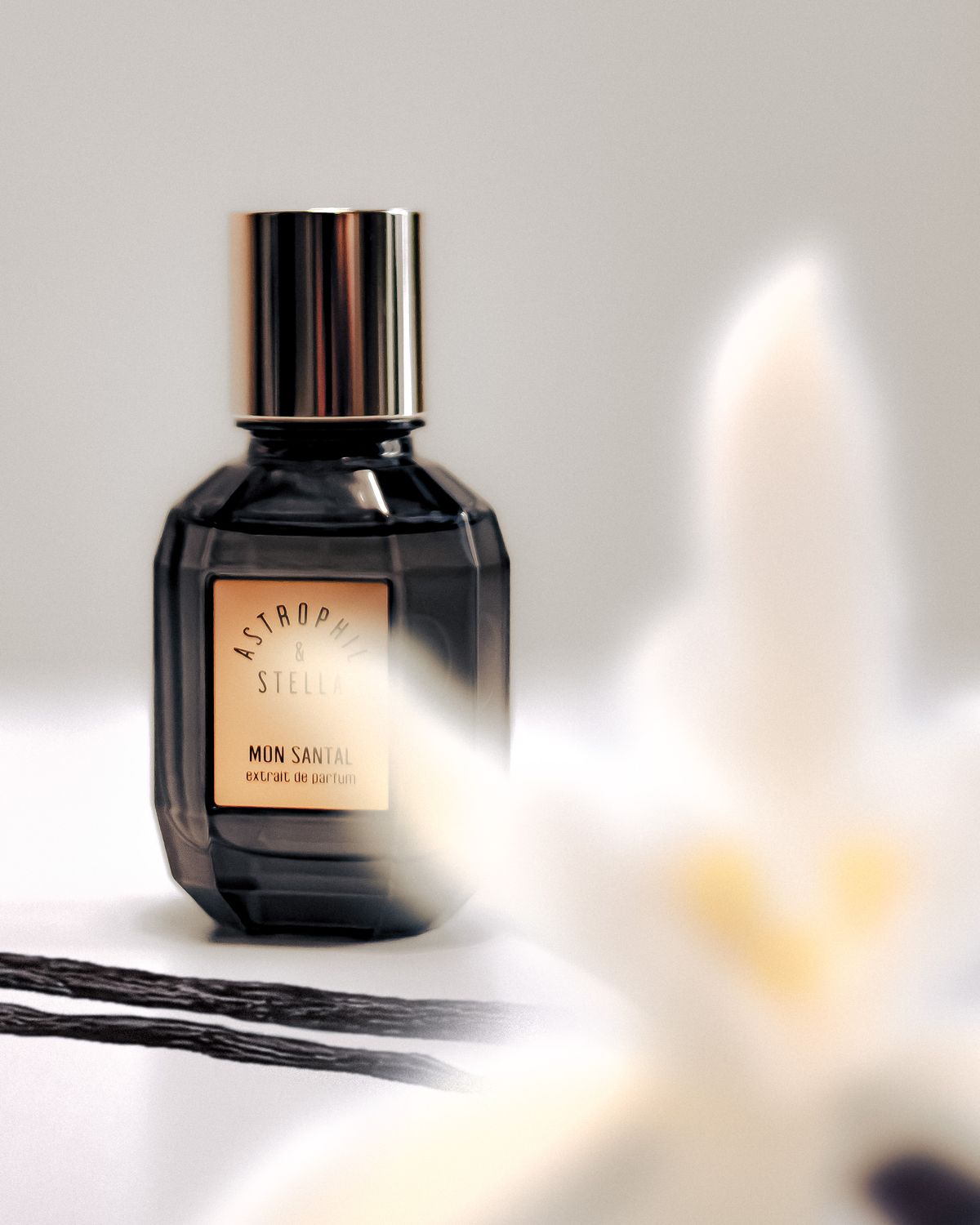 MON SANTAL - Astrophil &amp; Stella - Extrait 50ml