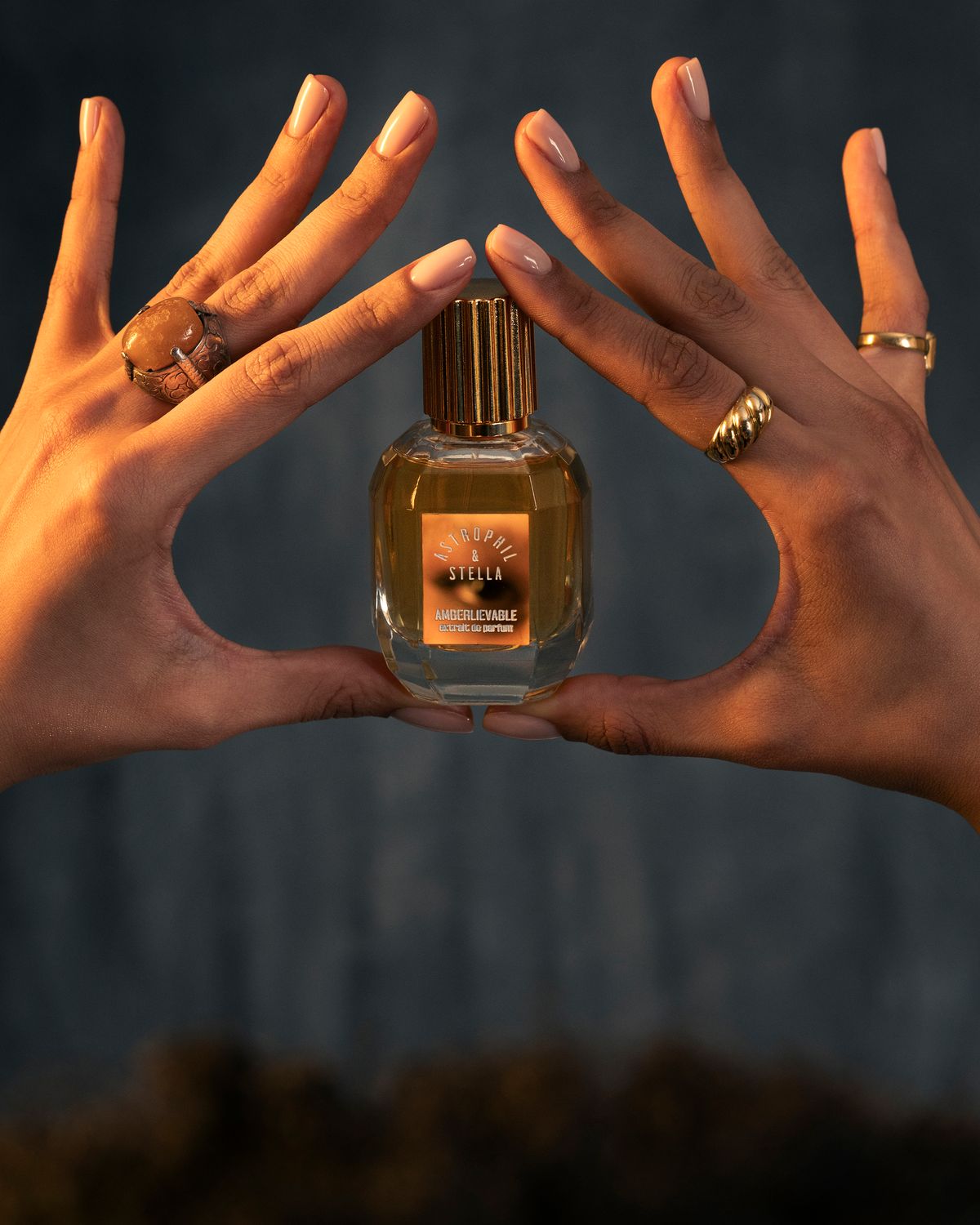 AMBERLIEVABLE - Astrophil &amp; Stella - Extrait 50ml