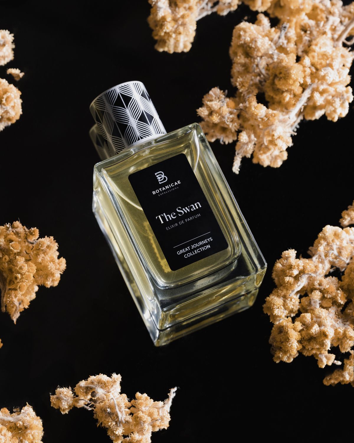 THE SWAN - Botanicae - 75ml Elixir / 2ml