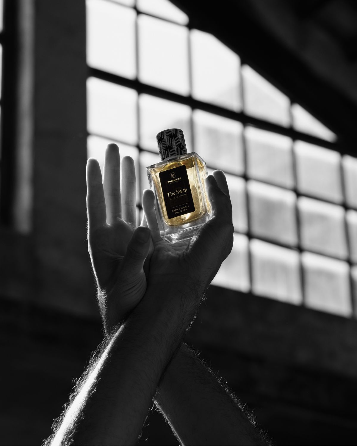 THE SWAN - Botanicae - 75ml Elixir / 2ml