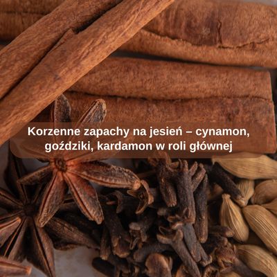 Korzenne zapachy na jesień – cynamon, goździki, kardamon w roli głównej
