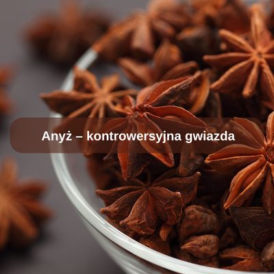 Anyż – kontrowersyjna gwiazda