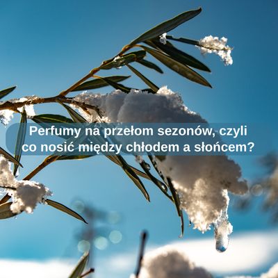 Perfumy na przełom sezonów, czyli co nosić między chłodem a słońcem?