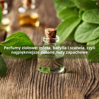 Perfumy ziołowe: mięta, bazylia i szałwia, czyli najpiękniejsze zielone nuty zapachowe