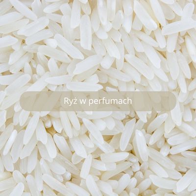 Ryż w perfumach