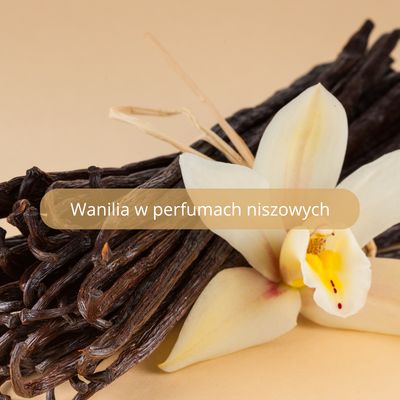 Wanilia w perfumach niszowych