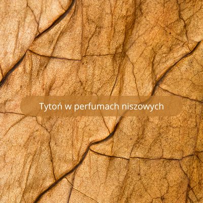 Tytoń w perfumach niszowych