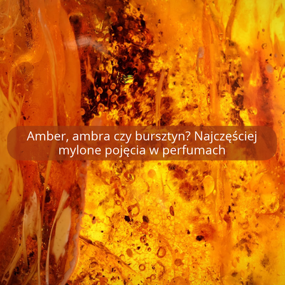 Amber, ambra czy bursztyn? Najczęściej mylone pojęcia w perfumach