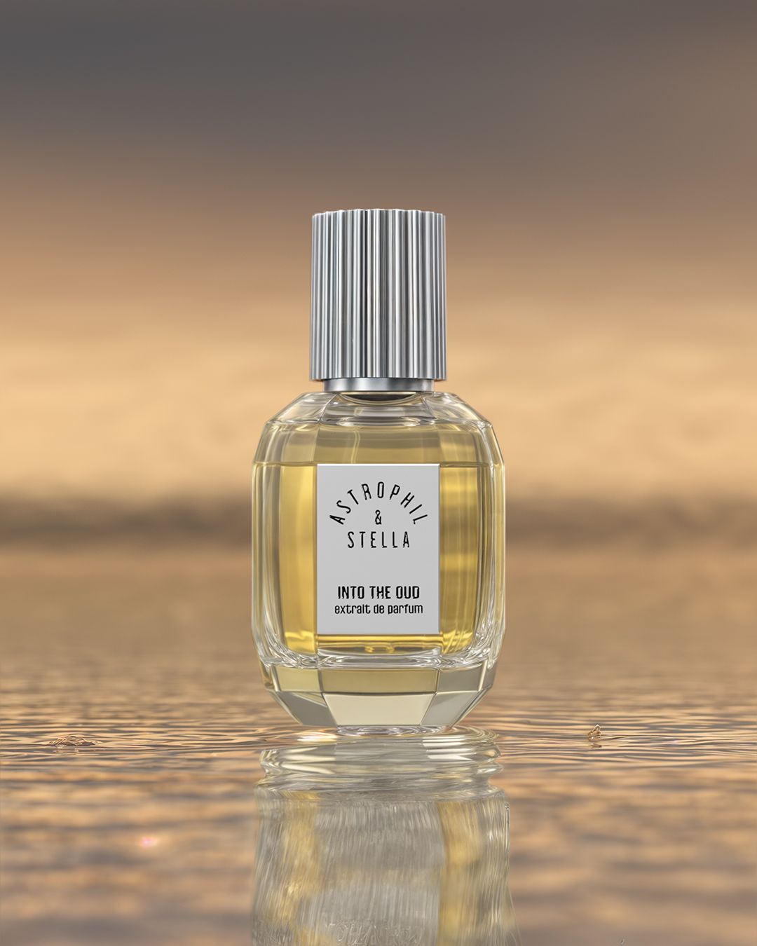 INTO THE OUD - Astrophil &amp; Stella - Extrait 50ml
