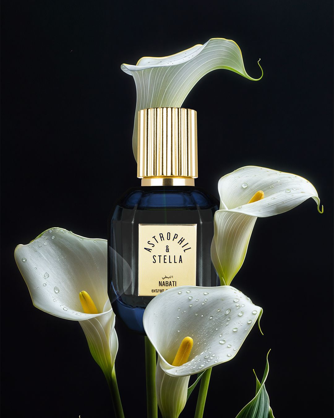 NABATI - Astrophil &amp; Stella - Extrait 50ml