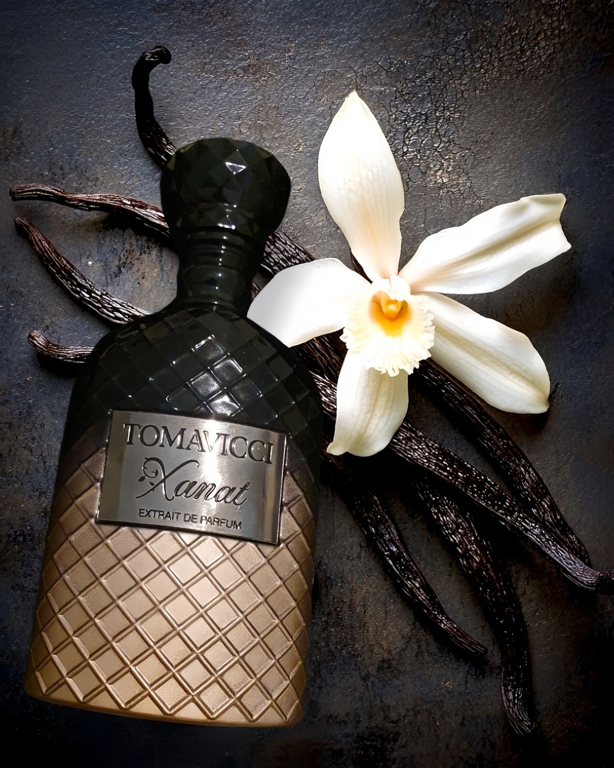 XANAT - Tomavicci - 100ml Extrait de Parfum