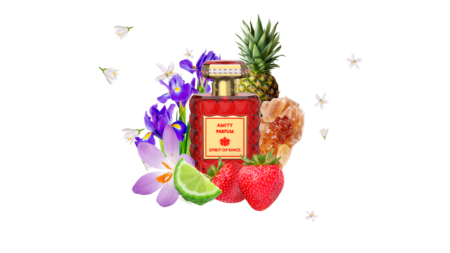 AMITY - Compassion Collection Collection Spirit Of Kings - 50ml EdP / 1ml
