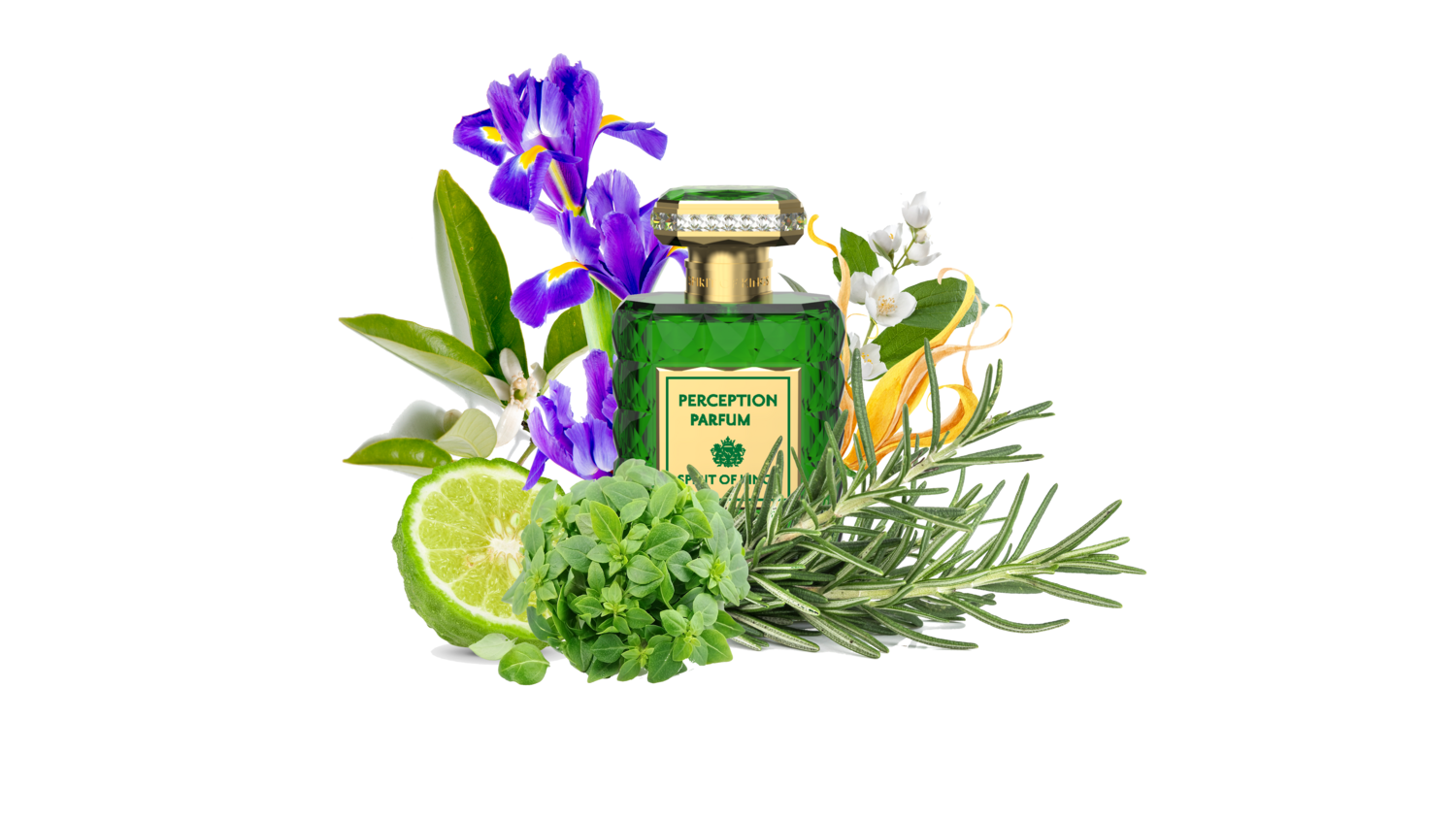 PERCEPTION - Wisdom Collection Collection Spirit Of Kings - 50ml EdP / 1ml