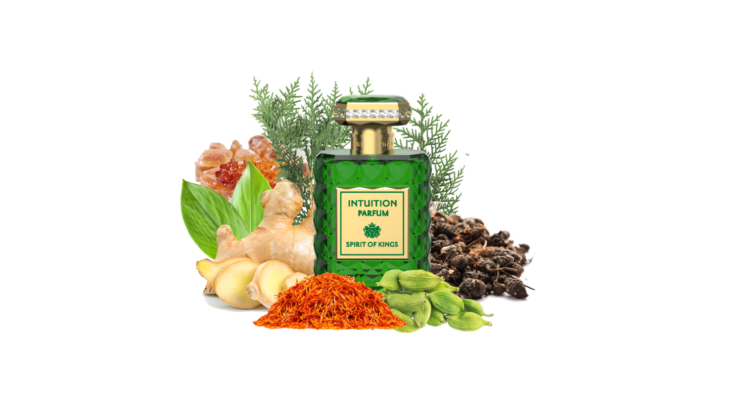 INTUITION - Wisdom Collection Collection Spirit Of Kings - 50ml EdP / 1ml