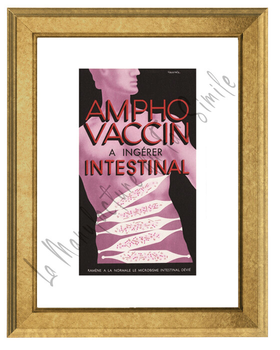 AMPHO-VACCIN PLANCHE 2