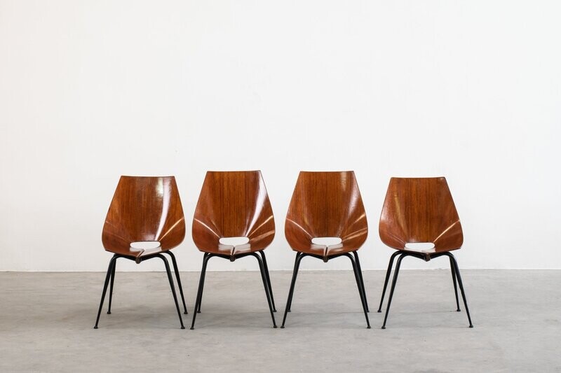 Società Compensati Curvi Four Chairs 1950