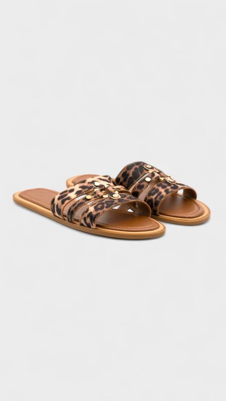 Chola trileopardo