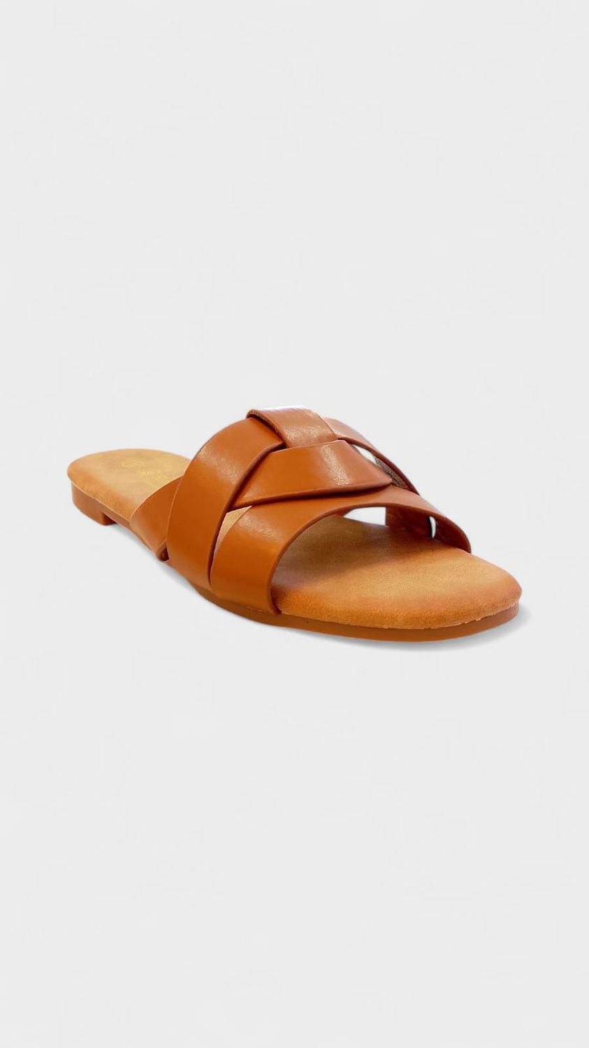 Chola pala zara camel
