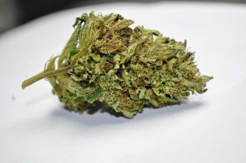 Canapa CBD varietà  Lemon Tree INDOOR bustina da 1 g