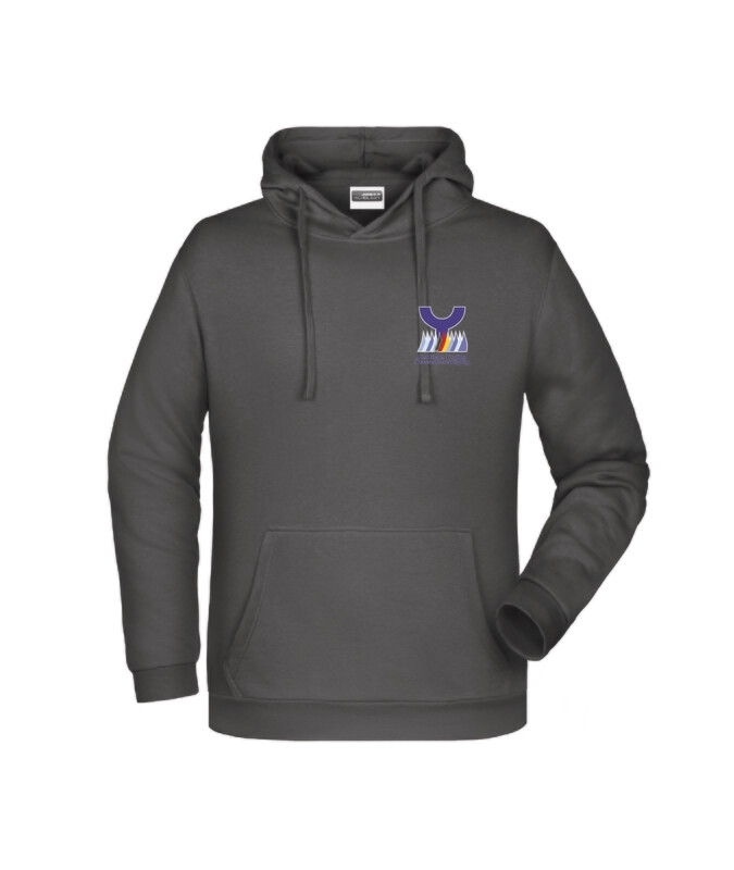 Herren Hoody