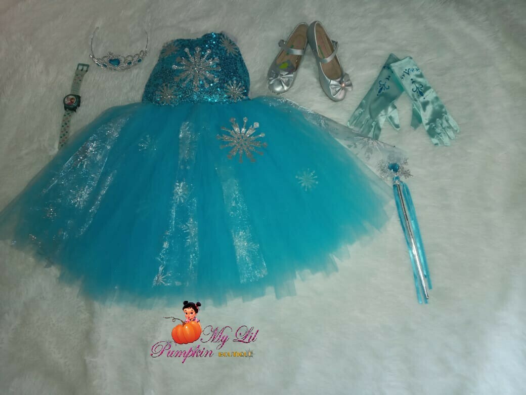 Frozen Costume with accessories