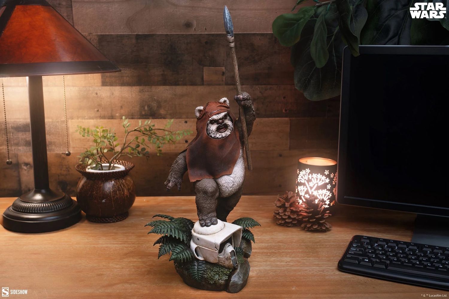 Star Wars Sideshow Collectibles Wicket Premium Format Statue 46cm Star Wars Sideshow Collectibles Wicket Premium Format Statue 46cm
