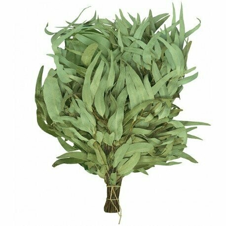 Eukalyptus-Weniks