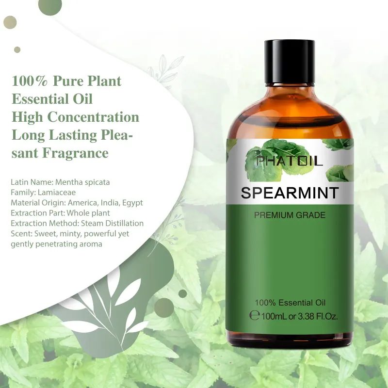 Spearmint-Grüne Minze