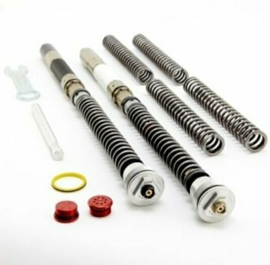 KTECH SUSPENSION Front Fork Cartridges DDS Triumph Daytona 675-R 2011-2012 Ohlins