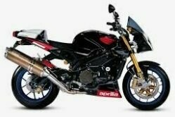 Tuono 1000 R 04-06 Ohlins