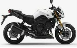 FZ8 2010>