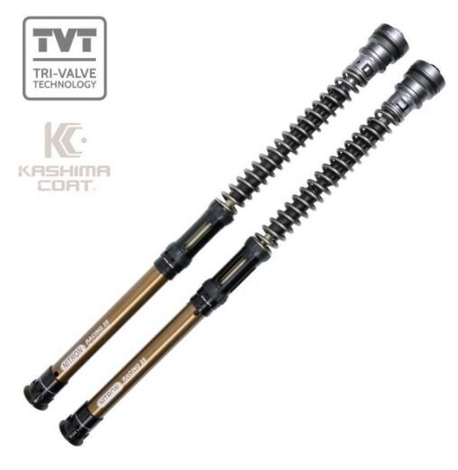 NITRON 25mm TVT PRO FORK CARTRIDGE KIT BMW R nine T 14-