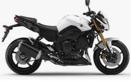 FZ8 (11-13)