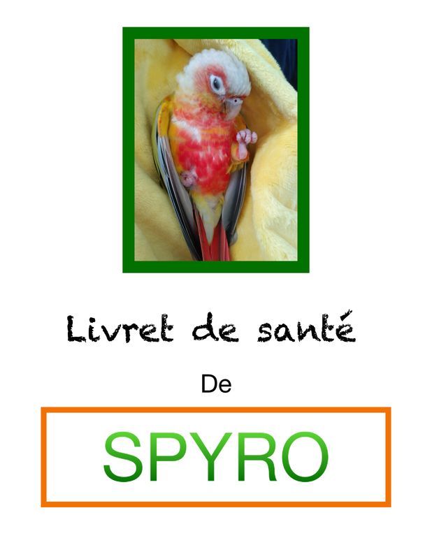 Livret de santé en PDF