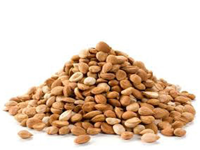 Apricot Kernels (Bitter)
