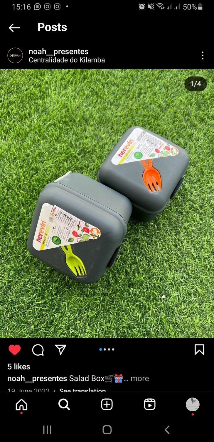 Salad Box