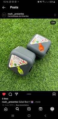 Salad Box