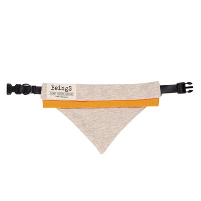 Bandana Pets Orange