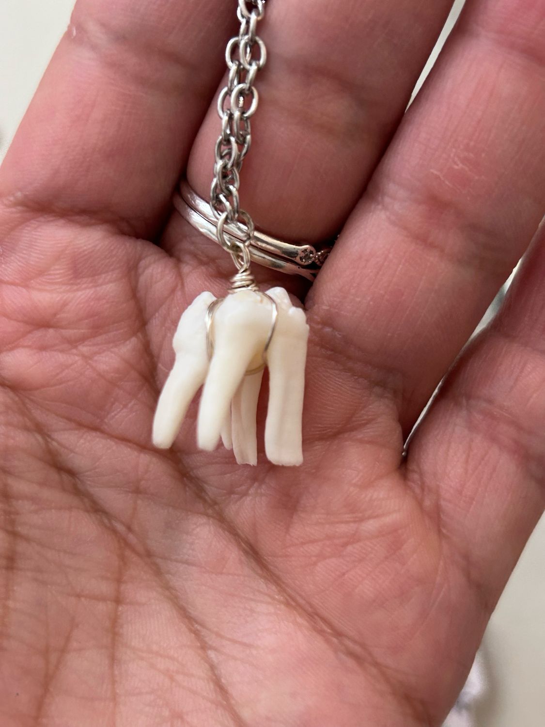 Pigs Tooth Choker Necklace