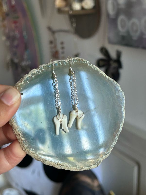 Coyote Tooth Earrings