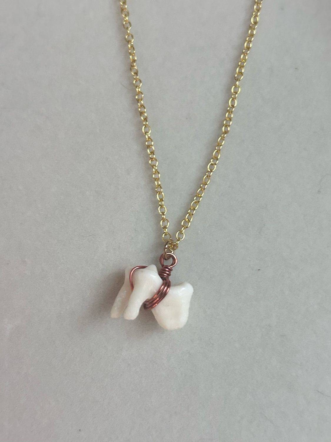 Coyote Tooth Necklace