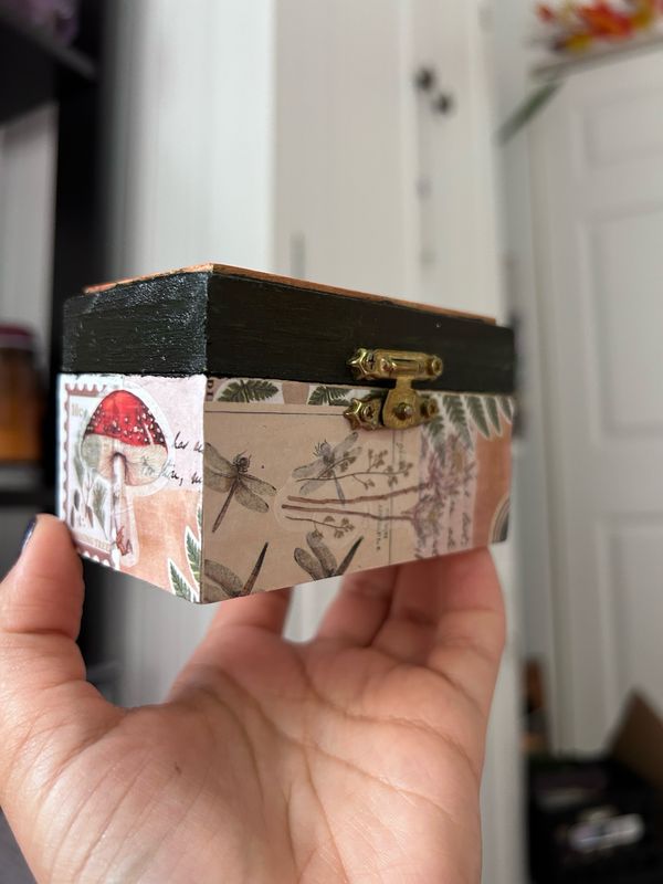 Butterfly Box