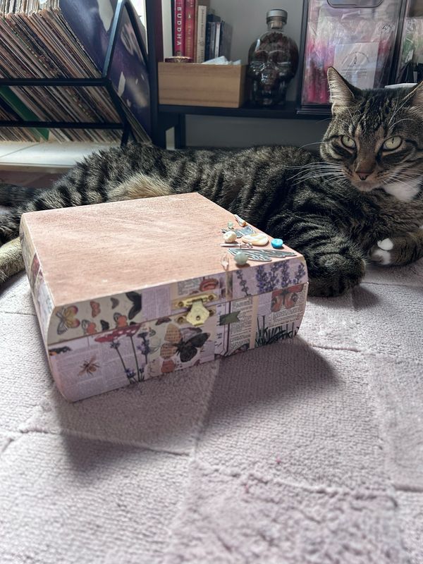 Butterfly Box (Crystals In Description)
