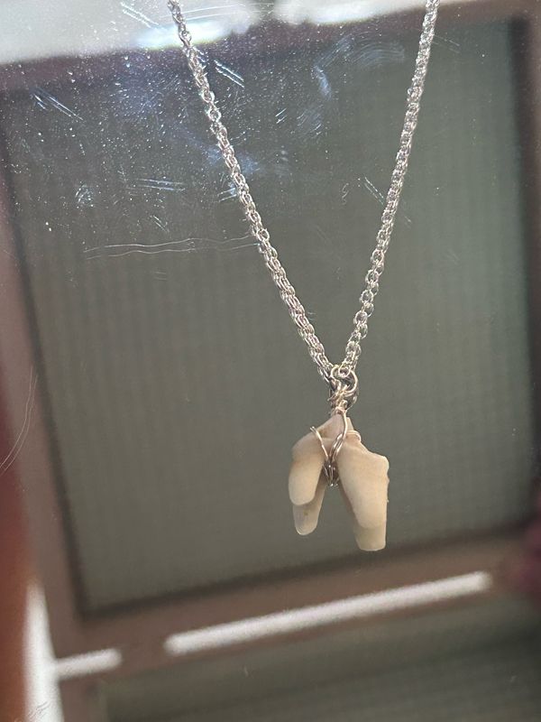 Coyote Tooth Necklace
