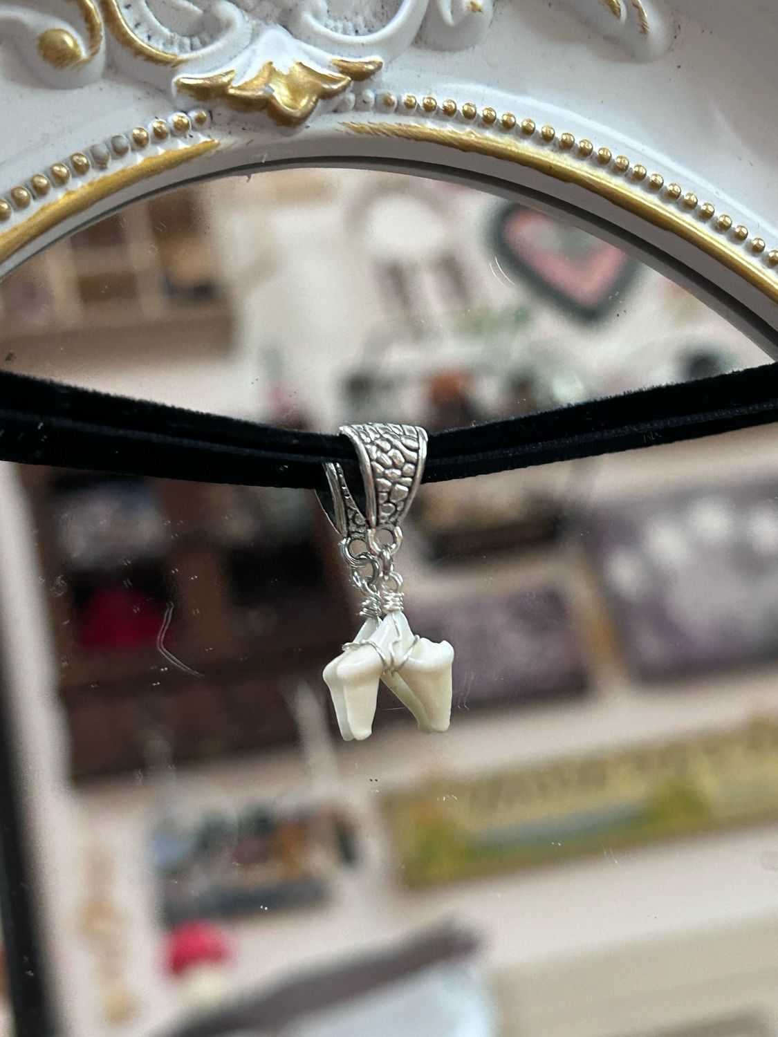 Coyote Tooth Choker